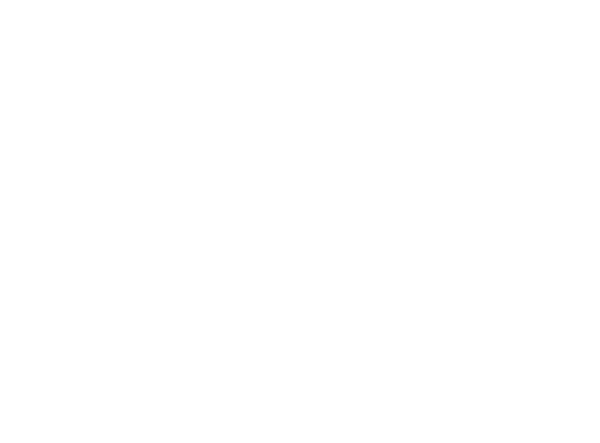 Warbird Marine Holdings